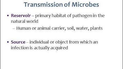 BI280 Chapter 13 Microbe-Human Interaction - Part 3 of 4