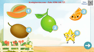 Trò chơi khởi động HĐTN 8 Cánh diều CĐ 6 ND 2: Sinh hoạt trong gia đình  | AI HĐTN 8 Cánh diều