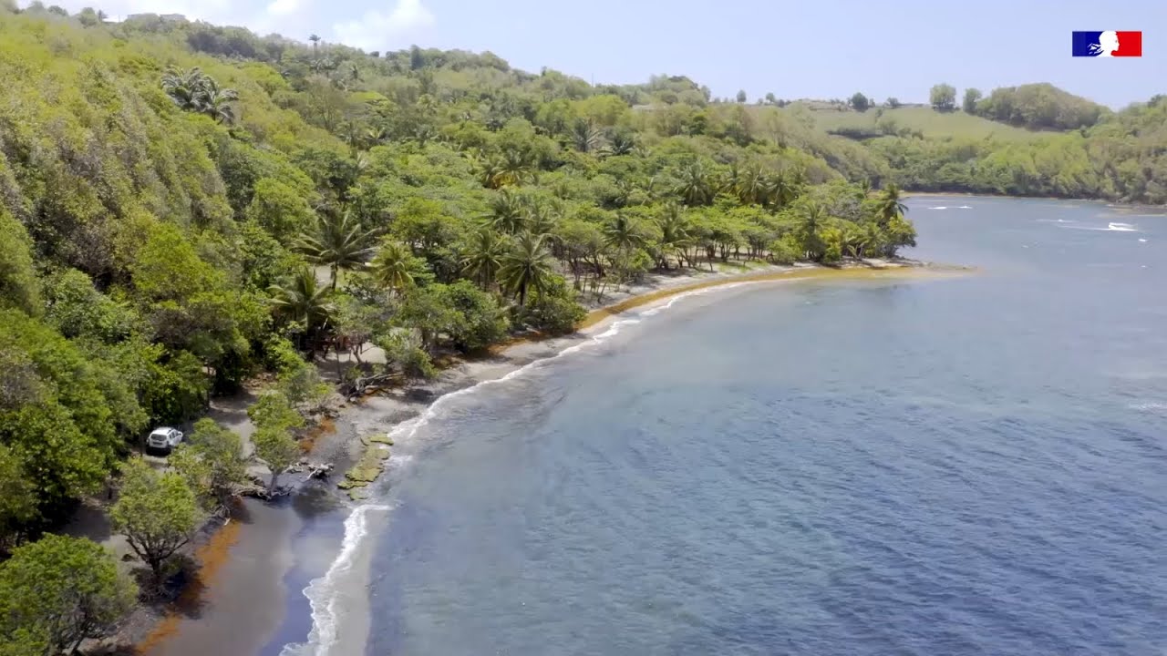 Qu'est-ce qu' une aire marine éducative ?