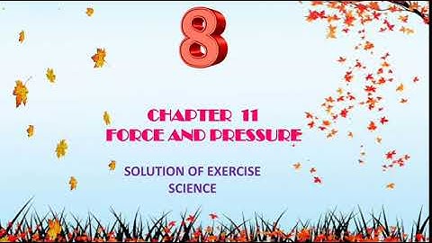 NCERT | SOLUTION |  EXERCISE |  QUESTION ANSWER| Chapter 11 | Force and Pressure | Class 8 | Science