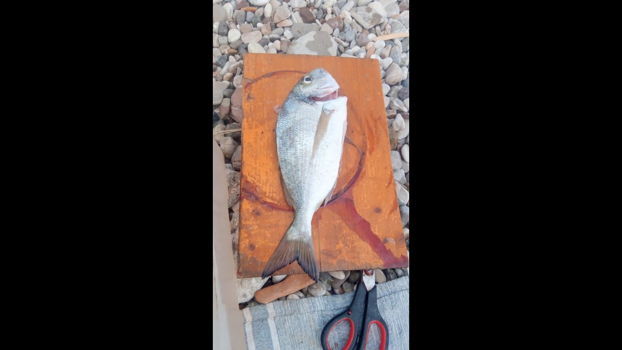 [P.S]ΑΠΡΟΒΛΕΠΤΟ ΠΡΩΙΝΟ ΚΥΡΙΑΚΗΣ [VIDEO 733]