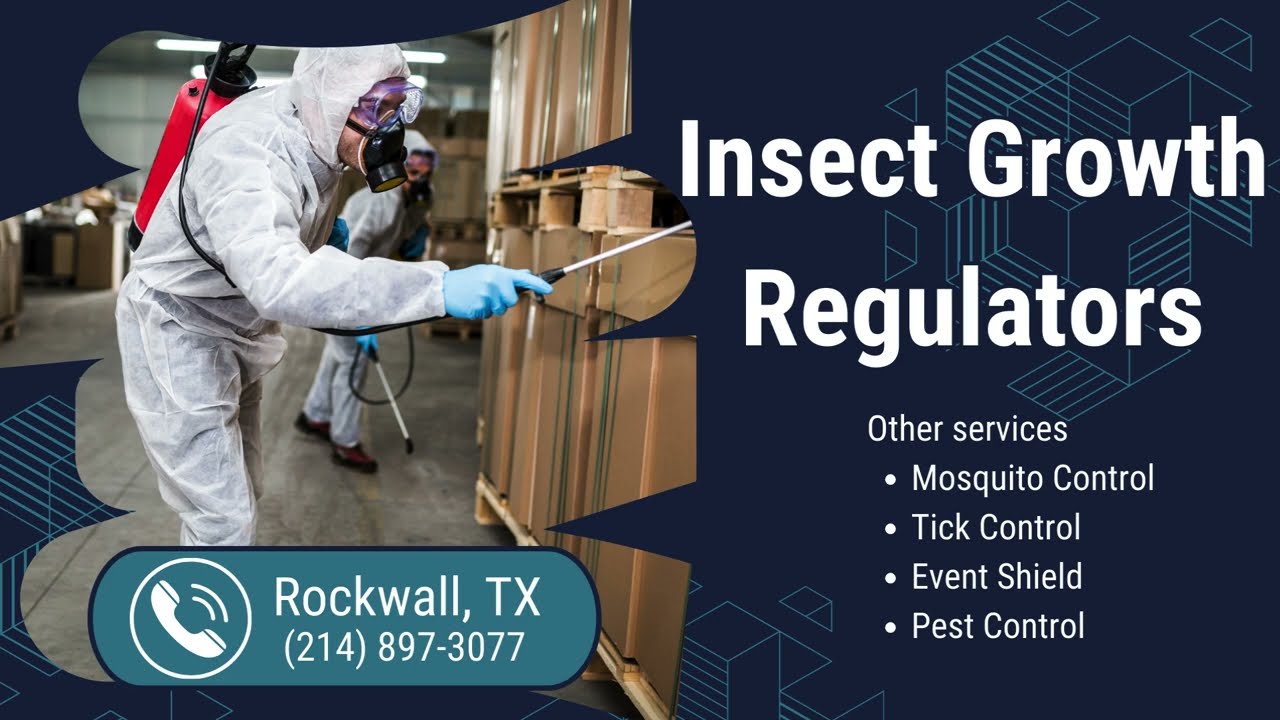 Insect Growth Regulators Rockwall, TX