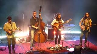 Video thumbnail of "Billy Strings "Willin""