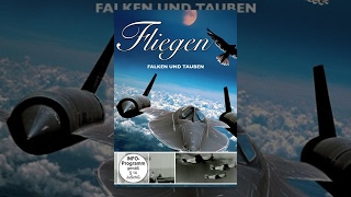 Fliegen - Falken und Tauben