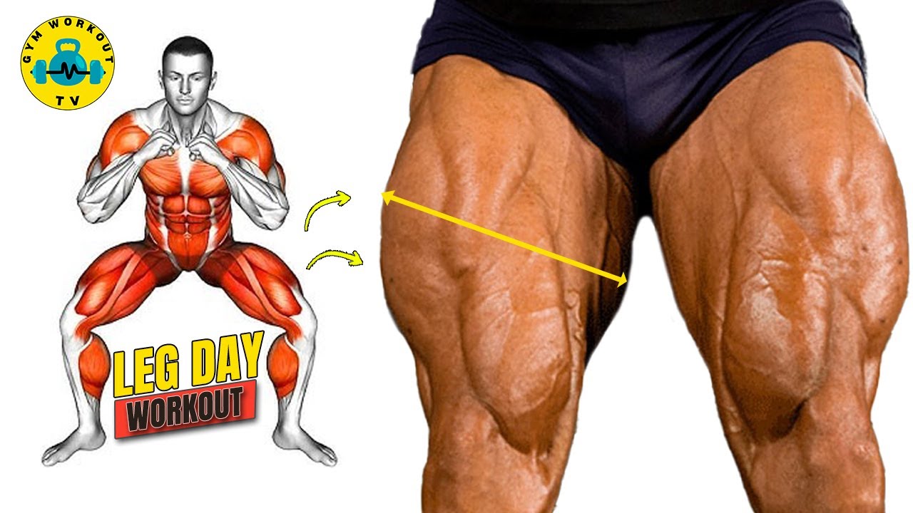 Программа тренировок в зале «День ног» | Квадрицепсы, ягодичные мышцы, подколенные сухожилия