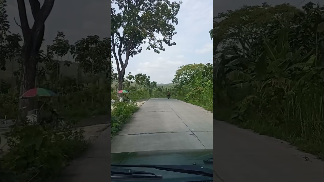 kalimati Juwangi boyolali