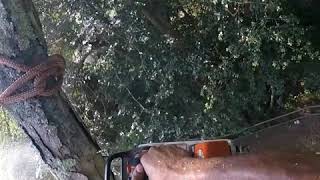 oak negative rigging