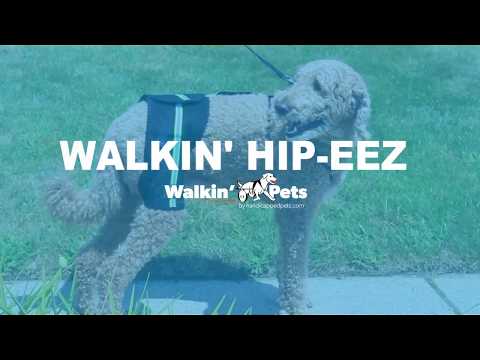 The Walkin' Hip-EEZ Hip Support System for Pets