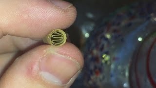 HOW TO ROLL A FILTER TIP/CRUTCH TIP FOR A JOINT! Net Worth