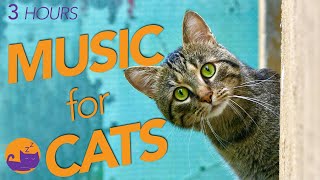 3 HOURS of Relaxing Sleep Music for Cats  Calm & Soothe