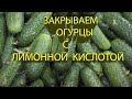 ОГУРЦЫ НА ЗИМУ БЕЗ СТЕРИЛИЗАЦИИ С ЛИМОННОЙ КИСЛОТОЙ // ОЧЕНЬ ВКУСНЫЕ И ХРУСТЯЩИЕ // ПРОСТО И БЫСТРО