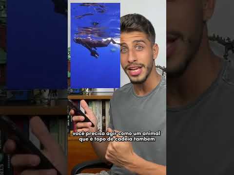 Vídeo: Como você coloca uma picada de tubarão em um Sillcock?