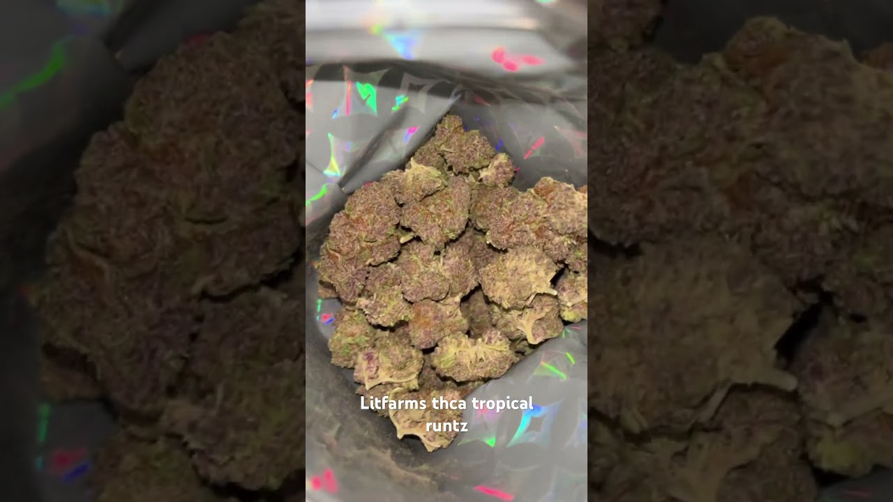 Litfarms thca tropical runtz 