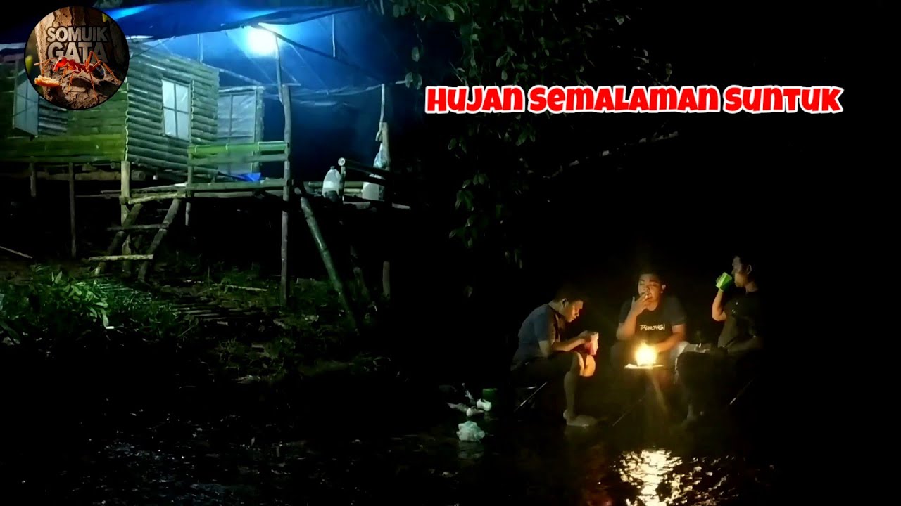 Ночевка в палатке под проливным дождем, ночевка в укрытии на берегу реки, расслабляющие звуки дождя