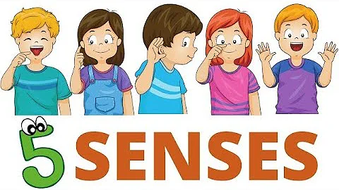 Sense Organs| Five Senses organ | learning | kids channel