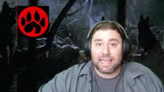 Level By Level: Animalism Overview