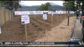 DRONI IN AGRICOLTURA, AIUTO PER COLTIVAZIONI