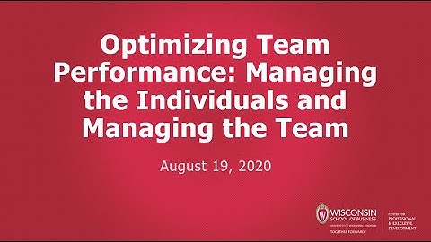 Optimizing Team Performance: Managing the Individuals and Managing the Team