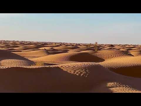 Rencontres dans le désert Tunisien...