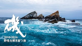 磯プロモーション動画2015-2016『野性を解き放つ旅』