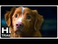 GOOD BOY Official Trailer (NEW 2025)