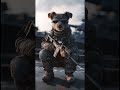 Navy SEAL puppies