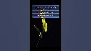 يوم الجمعة 🌻 | احمد النفيس تلاوة خاشعة 😇🎧