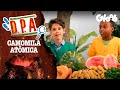 FEIRA ORGÂNICA NO PRÉDIO AZUL | D.P.A. 15ª TEMPORADA | Mundo Gloob