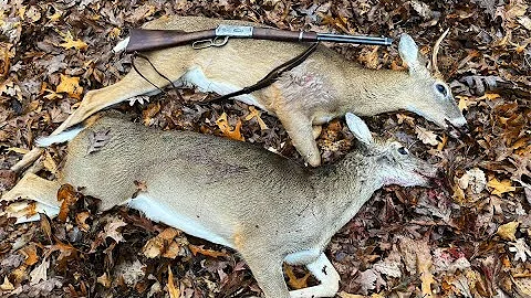 DEER SKIN RUG - Tanning a Whitetail Hide - FUR ON