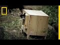 Sled Dog Houses - Thaw Project | Life Below Zero Sled Dog Houses - Thaw Project | Life Below Zero