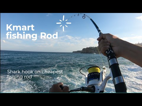 Shark fishing using Jarvis Walker fishing rod ,how good is this ?? 