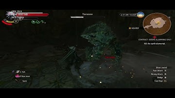 Witcher 3 by nyushu emulator sd8gen 3