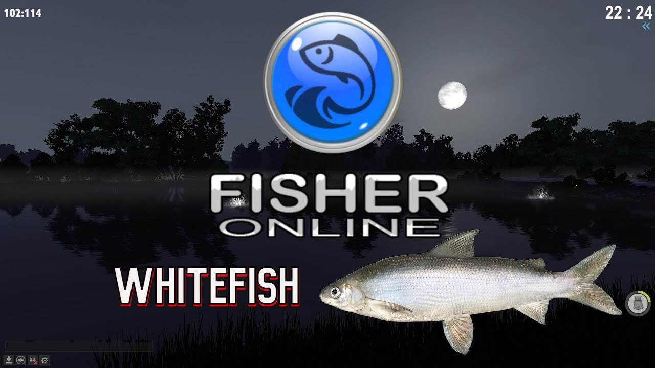 Fisher Online -- Whitefish -- Finland Kulgu Lake PL