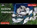 Раскорм подлещика. "All-in Fishing". Вып. 29.