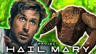 **PROJECT HAIL MARY** is AMAZE AMAZE AMAZE!