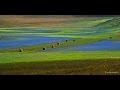 La fiorita di Castelluccio di Norcia-Un miracolo della Natura V3