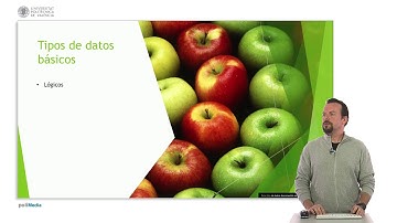 Tipos de datos. | 15/51 | UPV