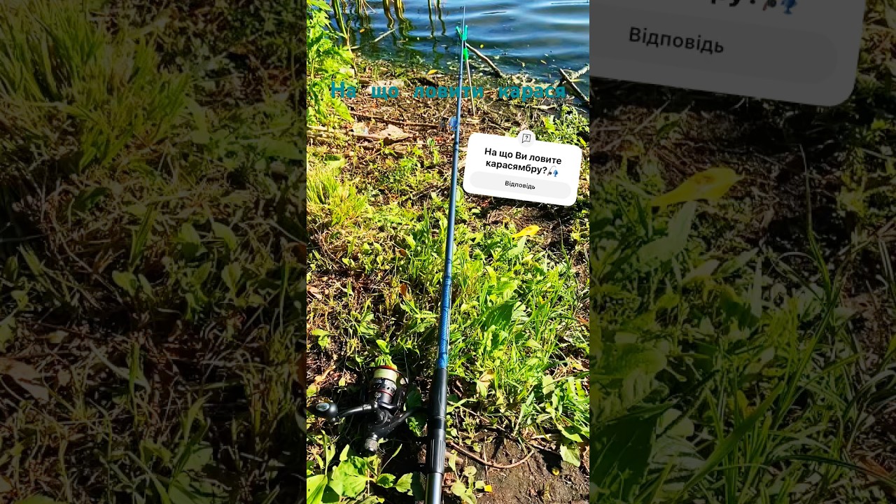 На що ловити карася🎣коропа🎣