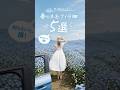 💙今年の春はここで決まり!全国の美しい「ネモフィラ畑」5選💙