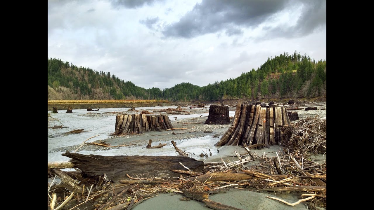 Elwha River Exploration