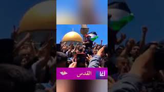 القدس 🇵🇸 ( لن تركع أمة قائدها محمد ) من ساحات المسجد الأقصى المبارك  .. ( لبيك يا رسول الله )