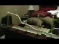 Carston dastrups rube goldberg experiment