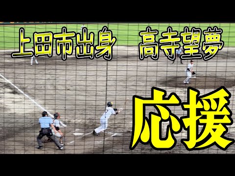 【阪神タイガース】長野県上田市出身の高寺望夢選手を全力応援!2022年8月28日新潟県三条市【高寺望夢】