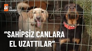 İlk Gönüllü Hayvan Ameliyathanesi - Atv Ana Haber 28 Ocak 2023