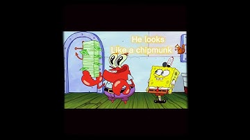 NEVER PAUSE SPONGEBOB  🤣😂🥲
