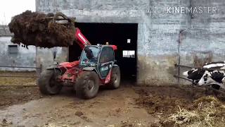 Manitou MLT 634-120 LSU Turbo -- Trágyapakolás / Loading of manure/ obornik