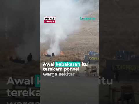 Bukit Teletubbiews Gunung Bromo Terbakar Akibat Flare Pasangan Prewedding
