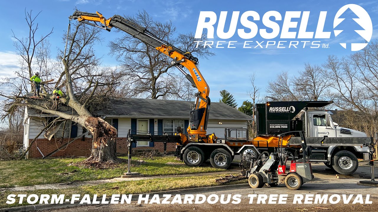 Removing a Storm Damaged Tree Off of a House! - YouTube
