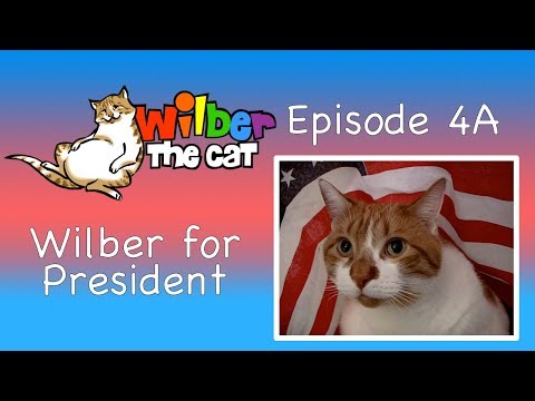 Wilber for President (Episode 4-A)