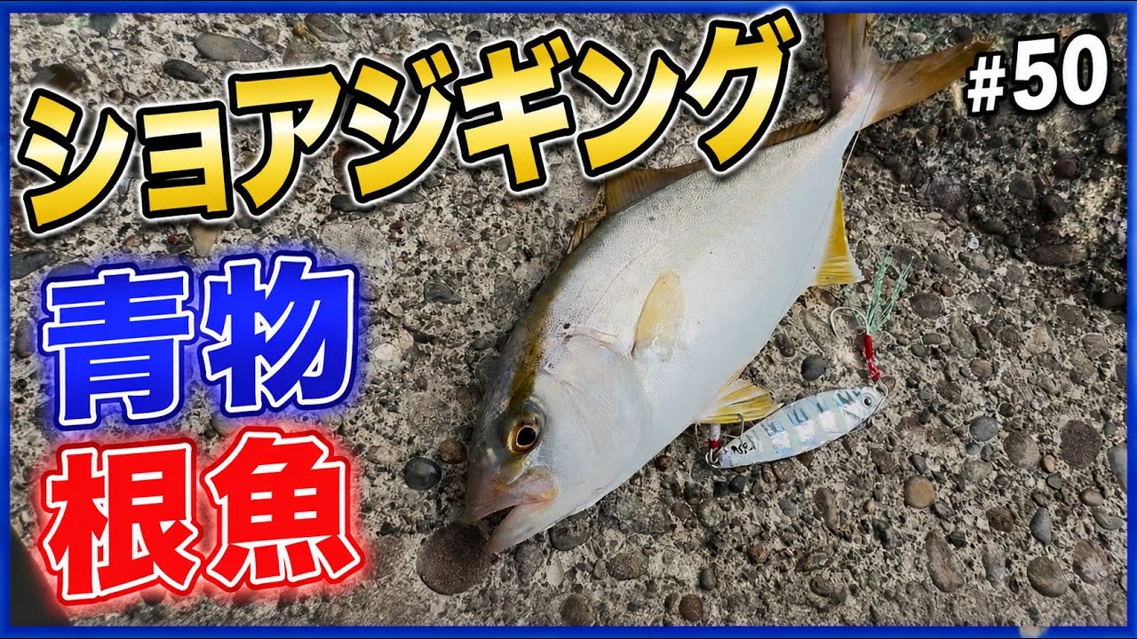 Shore Jigging] Light Shore Jigging #50 - YouTube